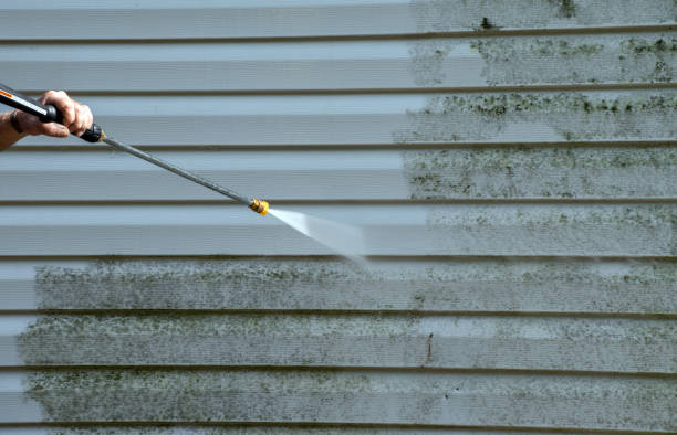 Best Deck Cleaning Services  in Collinwood, TN