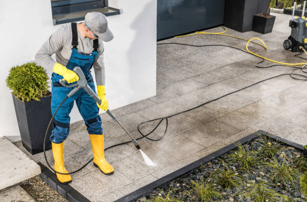 Best Pressure Washing Near Me  in Collinwood, TN