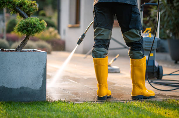 Best Concrete Pressure Washing  in Collinwood, TN